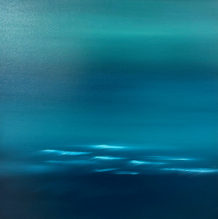 Lyall Bay study 1